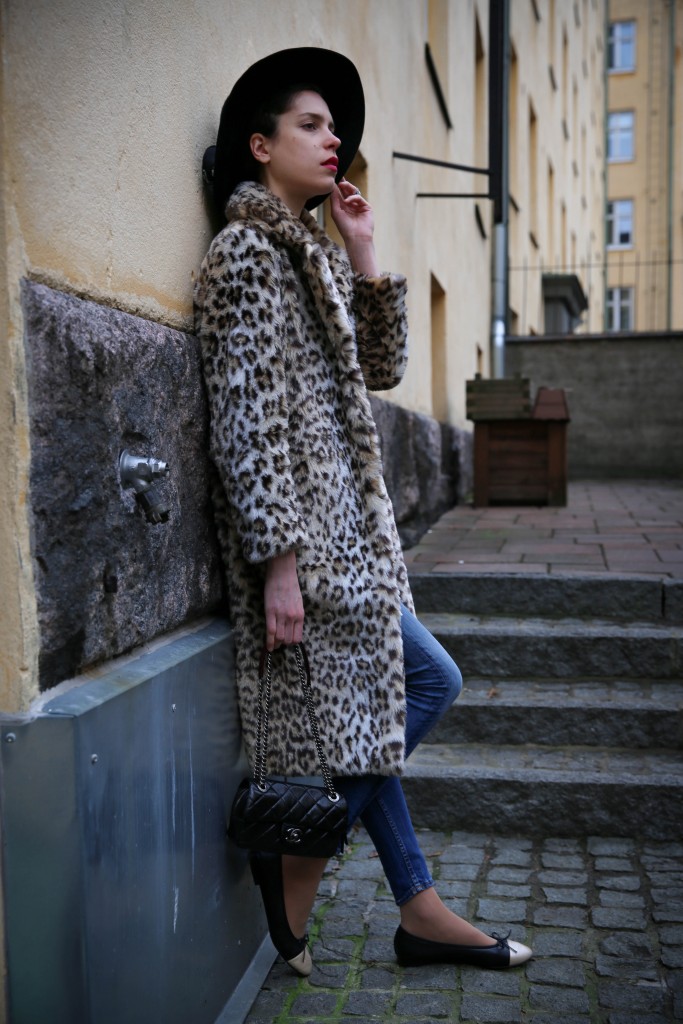 lioness2